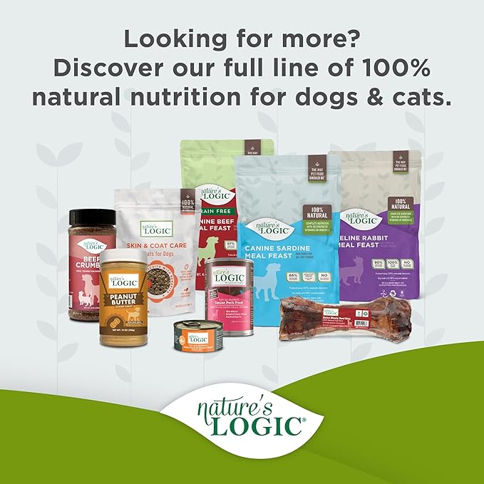 NATURE'S LOGIC Dry Dog Food - 100% Natural - No Synthetics - for All Ages, Sizes, Breeds - Free from Common Allergens, High Protein - Turkey Meal Feast, 4.4lbs