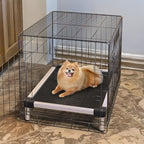 FXW TitanNest Chew-Proof Elevated Dog Bed, Raised Cot for Indoor/Outdoor/Camping Use, Durable & Waterproof Cooling Pet Bed for Extra-Small Dogs, 29.0" L x 18.0" W x 4.5" H, Black