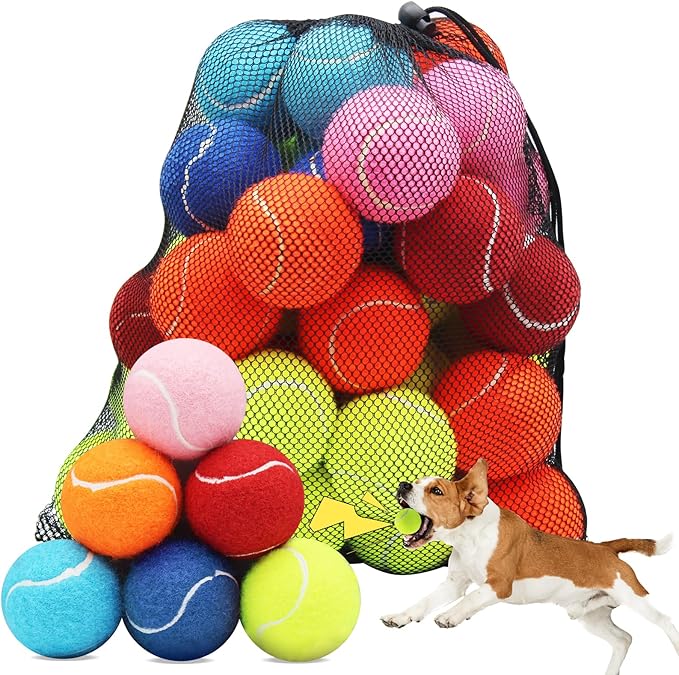 Swingers Squeaky Tennis Balls for Dogs,2.5 inch Training Tennis Balls,Exercise Ball for Pet Dog with Mesh Carry Bag Easy to Transport (Multicolor, 60 Pack)
