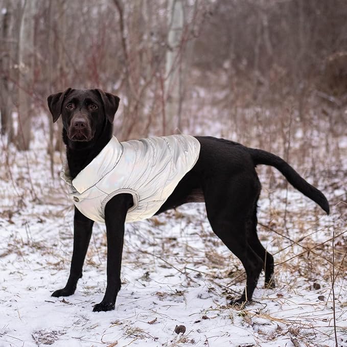 ASENKU Dog Winter Coat - Waterproof Windproof Dog Jacket, Warm Snowproof Doggie Puffer Vest for Cold Weather, Lightweight Snow Coats for Small Medium Large Dogs (Silver, M)