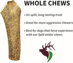 Giant Whole Single Pack (for 75+ lb Dogs) Premium Grade Elk Antler for Dogs (1 Piece) Sourced in The USA