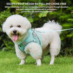 AIITLE Dog Harness and Leash Set - Ultra-Comfortable XXS-XL Vest with Strong Magic Tape & Glow-in-Dark Reflective Strips, Chafe-Free for Teddy, Schnauzer (Turquoise, M)
