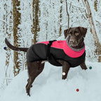 IECOii Extra Warm Dog Coat - Reflective Jacket with Fleece Turtleneck for Cold Weather - Soft Winter Coat for Small to Extra Large Dogs