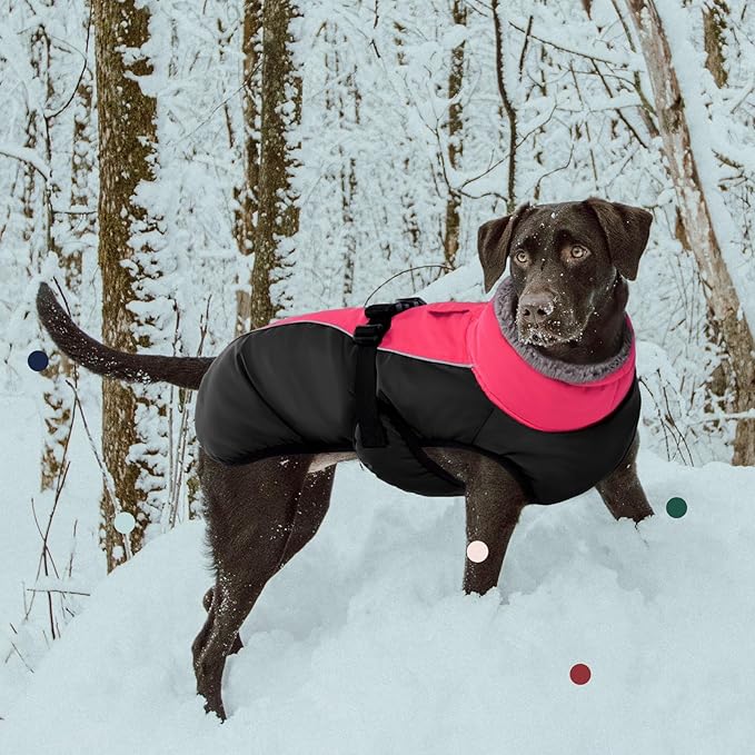 IECOii Extra Warm Fleece Dog Jacket with Buckle - Reflective Turtleneck Coat for Cold Weather - Small to Extra Large Dogs