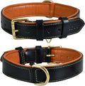 Genuine Leather Dog Collar | Full Grain, Heavy Duty, Comfortable, Padded, Strong | Best for Pups, Small, Medium, Large & XL Breeds (Large (Fit Neck Size 18.5"-22.5"), Black)