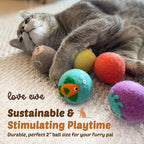 Hustle & Blush Wool Felt Balls - 3 Pack Love Ewe Pet Supplies – 2in Colorful & Durable Cat Toys Handmade from New Zealand, Ideal for Indoor Play and Mental Stimulation – Fish & Bird Design
