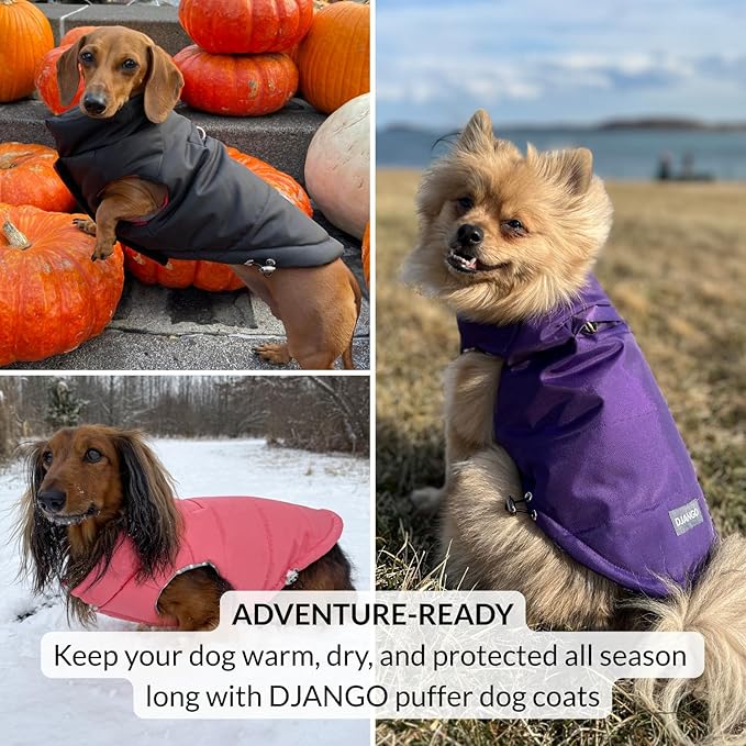 DJANGO Puffer Dog Coat – Warm Winter Dog Jacket & Water-Repellent Insulated Puffer Vest with Striped Lining, Harness Hole, Adjustable Fit for Small & Medium Dogs, Dachshunds – Sea Foam Green, Large