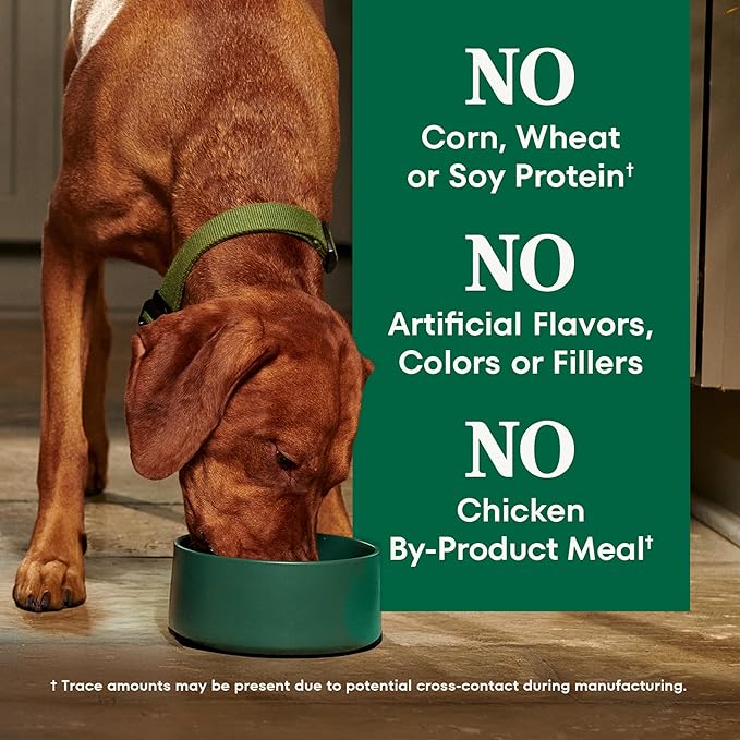 Nutro Natural Choice Chicken & Brown Rice Adult Dry Dog Food Recipe, 30 lb. Bag
