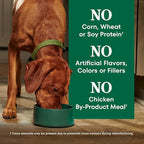 Nutro Natural Choice Beef & Brown Rice Adult Dry Dog Food Recipe, 28 lb. Bag