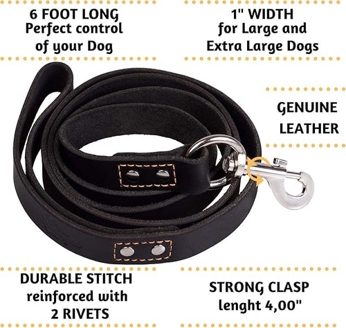 ADITYNA Heavy Duty Leather Dog Leash 6 ft x 1" - Strong, Soft Training Lead for Large & Extra Large Breeds (XL - 6 ft x 1 inch, Black)