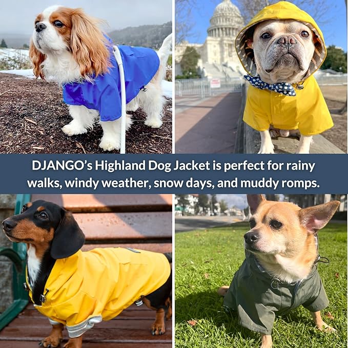 DJANGO Highland Dog Jacket & Raincoat – Water-Repellent, Lined Dog Coat with Hood, Adjustable Fit & Harness Hole – Lightweight Rain & Wind Jacket for Small & Medium Dogs up to 30 lbs (Yellow, Small)
