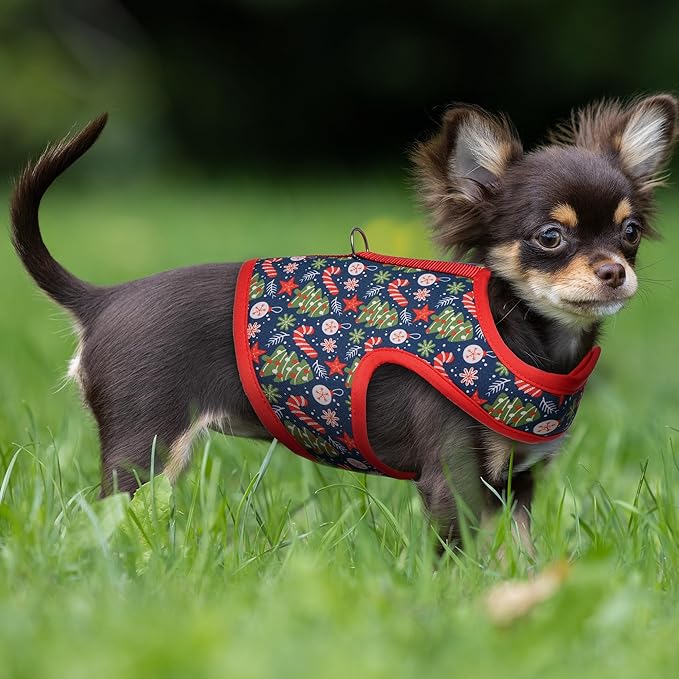 Mile High Life Velcro Dog Harness, Air Mesh Floral Vest Harness for 20 lbs Small Dogs & Cats, Easy Get on Adjustable Easy Closures Both Neck and Chest(Red Tree, S Chest 16"-18")
