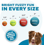 Outward Hound Squeaker Ballz 4-Pack Tennis Ball Dog Toys with Squeaker, Interactive Fetch Play for Pets Under 50 lbs, Training Balls for Indoor & Outdoor Exercise, Medium, 2.5-inch