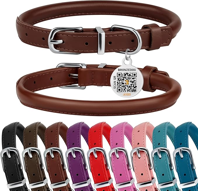 BRONZEDOG Rolled Leather Dog Collar for Small Medium Large Dogs with QR ID Tag (XS: 9-11 Inch, Chocolate Brown)
