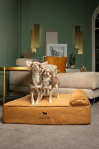 NOAH & PAW Dog Bed, 28x23x7.5 Inch, Orthopedic Dog Beds for Medium Size Pets, Eggshell Memory Foam Infused with Cooling Gel, Waterproof, Machine Washable, Includes Inner Cover (Faux Leather)