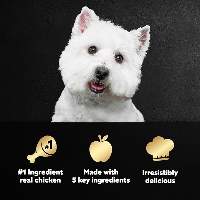 Cesar Simply Crafted Adult Wet Dog Food Meal Topper, Chicken, Sweet Potato, Apple, Barley & Spinach, 1.3oz. (10 Count, Pack of 1)