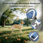 Plutus Pet Reflective Dog Collar with Aviation Aluminum Buckle, Neoprene Padded for Comfort, Lightweight, Heavy Duty Nylon Collar for Puppy Small Medium Large Dogs (Blue, S)