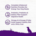 Wellness Complete Health Dry Dog Food, Wholesome Grains, Natural, Chicken & Oatmeal Recipe, (26-Pound Bag)
