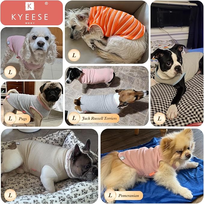 KYEESE 2Pack Waffle Dog Shirts for Small Dogs Stretchy Dog T-Shirts Lightweight Pet Tank Top Sleeveless Striped Dogs Shrit Vest Breathable, Large, Green+Striped