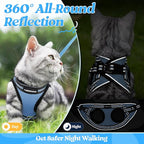 rabbitgoo Cat Harness and Leash Set for Walking Escape Proof, Adjustable Soft Kittens Vest with Reflective Strip for Cats, Comfortable Outdoor Vest, Light Blue, S
