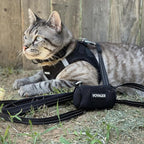 Best Pet Supplies Voyager Step-in Air Harness - All Weather Mesh, Reflective, No Pull Harness for Dogs, Cats - Secure with Hook & Loop Fastener, Buckle, Double D-Rings - Black, XS