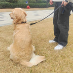 Leather Dog Leash 6 ft x 3/4 inch,Strong and Soft Heavy Duty Genuine Leather Dog Leash for Large, Medium, Small Dogs Premium Leather Leash for Dogs