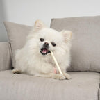 MON2SUN Dog Rawhide Twist Sticks Natural 5 Inch Thin Sticks Rawhide Chews Treats for Puppy and Small Dogs 120 Count