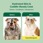 Earth Rated 3-in-1 Soothing Dog Shampoo and Conditioner, Deodorizing Oatmeal Shampoos for Dogs and Puppies, Great for Smelly Pets, White Tea and Basil Scent, 16 oz