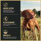 Purina Pro Plan Sport Performance 30/20 Beef and Bison Formula Dry Dog Food - 6 lb. Bag