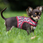 Mile High Life Dog Harness, Air Mesh Floral Vest Harness for 20 lbs Small Dogs & Cats, Easy Get on Adjustable Easy Closures Both Neck and Chest(Peony, S Chest 16"-18")