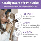 Skout's Honor Probiotic Pet Detangler Spray - Hydrating & Conditioning with Avocado Oil, 97% Natural, Paraben & Sulfate-Free, softens for a More brushable Coat, Daily Use, 8oz, Lavender