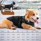 Fragralley Dog Coat with Harness Built in, Waterproof Windproof Reflective Warm Puffer Jacket, Fleece Lined Vest Winter Parka for Small, Medium, Large Dogs