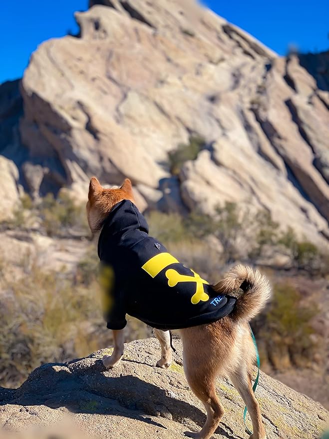 ChoChoCho Stylish Dog Hoodie Dog Clothes Streetwear Cotton Sweatshirt Fashion Outfit for Dogs Cats Puppy Small Medium Large (M, Yellow)