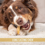Wild Eats Water Buffalo All Natural Ear Dog Chews, Dog Treats & Snacks - 20 Piece Value Pack (Grain Free Treats - Great Alternative to Pig Ears, Cow Ears, Bones & Rawhides)