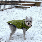 Mile High Life Dog Raincoat, Adjustable Waterproof Reflective Rain Jacket for Small Medium Large Dogs, Lightweight Breathable Pet Rain Coat with Leash Hole(Lime Yellow,XXS Chest 16-19")