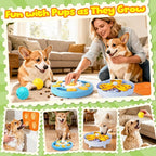 Curated Dog Puzzle Toys for Boredom and Mental Stimulation, 10-Pack Enrichment Toy Set with Slow Feeder Bowl, Lick Mat & Treat Ball to Keep Dogs Busy and Engaged