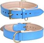Genuine Leather Dog Collar | Full Grain, Heavy Duty, Comfortable, Padded, Strong | Best for Pups, Small, Medium, Large & XL Breeds (X-Large (Fit Neck Size 22"-26"), Blue)