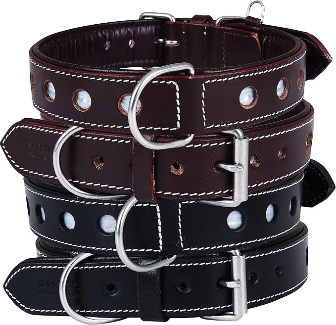 Genuine Leather Reflective Dog Collar | Stellar Series | Safe for Night Walking | Soft, Cushion Padding, Handmade | Best for Small, Medium, Large, XL (X-Large (Fit Neck Size 22"-26"), Garnet)