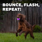 Outward Hound by Planet Dog Strobe Light Up LED Ball Dog Toy, Purple