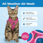 Voyager Escape Proof Cat Harness and Leash Set with Reflective Stitching, Neoprene Handle 5ft - Supports Small, Medium and Large Cats, Kittens for Walking by Best Pet Supplies - Fuchsia, XS