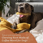 Wildfang® Coffee Wood Dog Chew, Large - Tough Chew Toys for Aggressive Chewers, Dog Teething Toys for Puppies, Training for Chewing Muscles, Coffee Tree Sticks for Large Dogs (55-99 lbs), Pack of 3