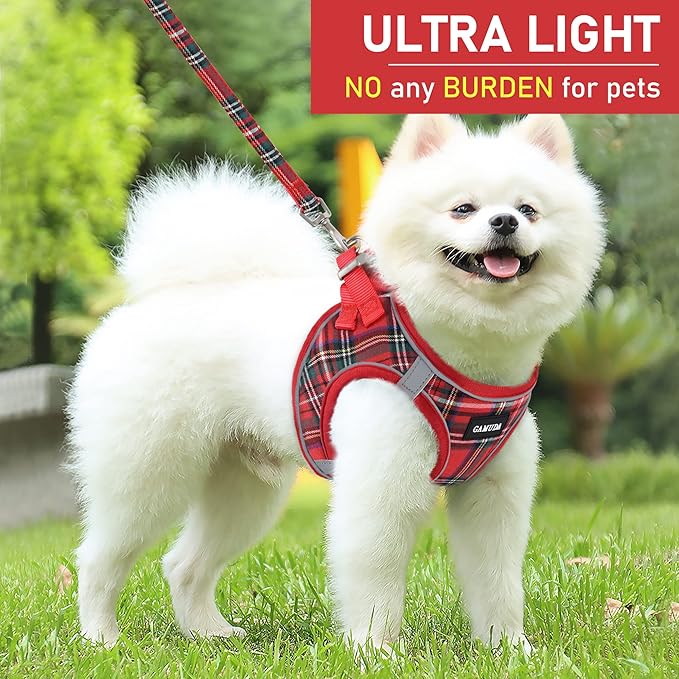 GAMUDA Small Dog Harness Collar and Leash Set, Step in No Chock No Pull Soft Mesh Adjustable Dog Vest Harnesses Plaid Reflective for Dogs Puppy Cats Kitten Rabbit (Red, XS)