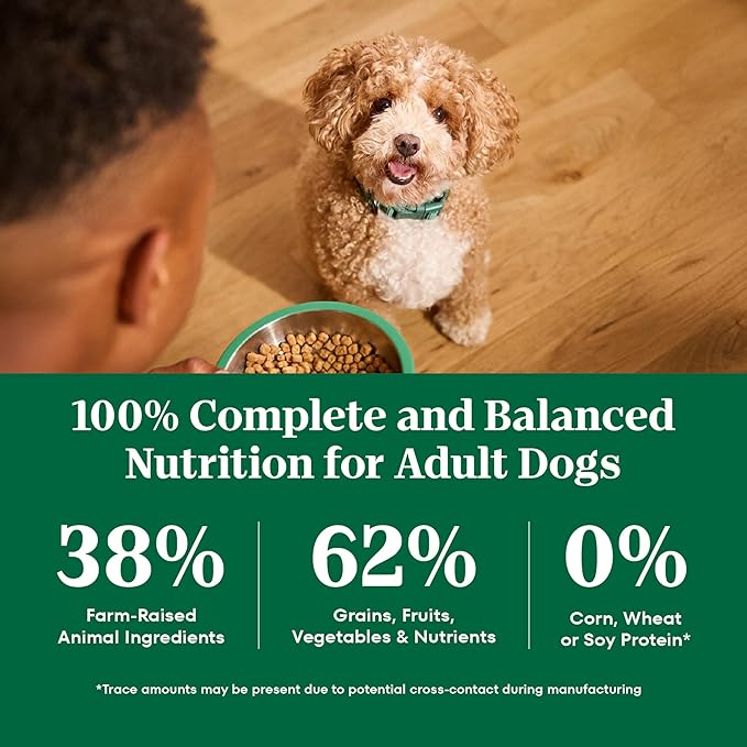 Nutro Natural Choice Lamb & Brown Rice Adult Small Bites Dog Food Recipe, 30 lb. Bag