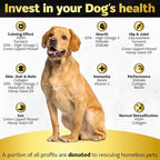Hip and Joint Chews for Dogs + Skin and Coat Supplement - Dog Joint Pain Relief Treats - Glucosamine, Chondroitin, MSM, Hemp Oil, Turmeric, Omega 3 for Dogs, Mobility Dog Health Supplies