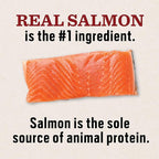 Dr. Pol Grain Free Salmon Dog Food - Premium Natural Dry Dog Food, Limited Ingredient High Protein Veterinarian Formulated Kibble for Any Size or Stage, Allergies, Sensitive Stomach, Salmon 4lb Bag