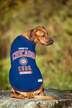 MLB Chicago Cubs Dog T-Shirt, X-Large. - Licensed Shirt for Pets Team Colored with Team Logos. - Premium Stretchable Materials for The Comfort of Your Dog & cat.