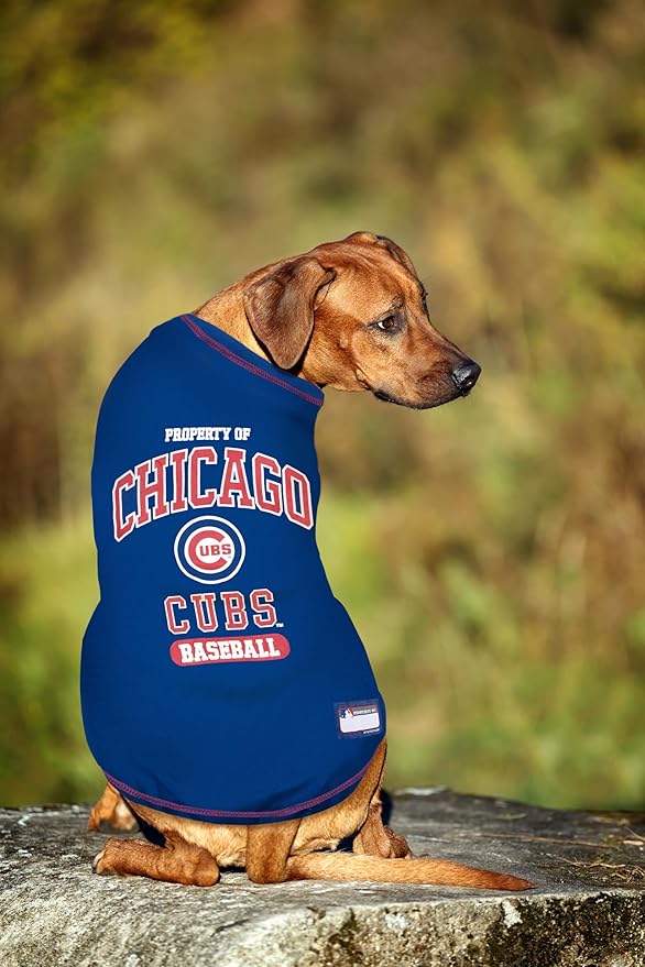 MLB Chicago Cubs Dog T-Shirt, X-Large. - Licensed Shirt for Pets Team Colored with Team Logos. - Premium Stretchable Materials for The Comfort of Your Dog & cat.