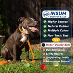 Tennis Balls for Dogs - 12 Pack 2.5'' Durable Non-Toxic Outdoor Dog Toys Balls with Mesh Bag, SGS Certified, Colorful Fetch Toys, Medium Large Breeds (Non Squeaky)