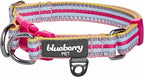 Blueberry Pet Safety Dog Collar with Dual D-Rings | 3M Reflective Multi-Colored Adjustable Collar in Pink and Pastel Blue | Soft Nylon Dog Collar for Active Small Dogs