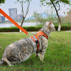 Cat Harness and Leash Escape Proof Extra Large Kitten Harness Maine Coon Cat Vest for Walking Travel, Orange, XL